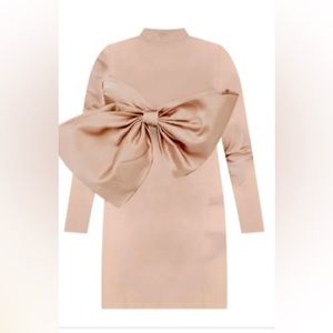 Gently worn Pink size 14 ELOQUII dress